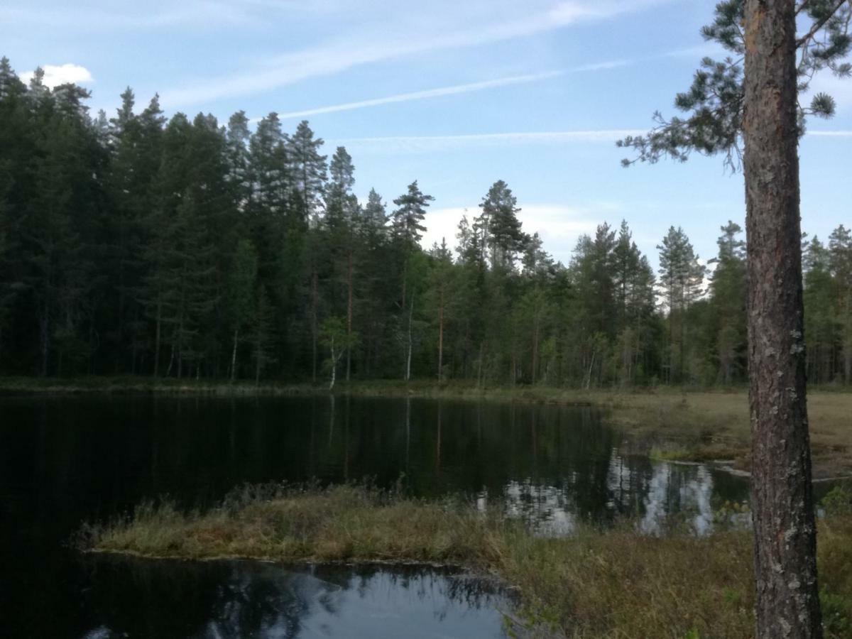 Presterudveien 125 Vikersund Екстериор снимка