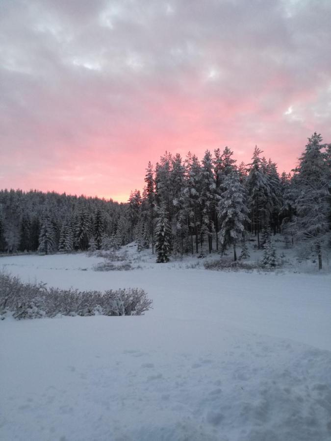 Presterudveien 125 Vikersund Екстериор снимка