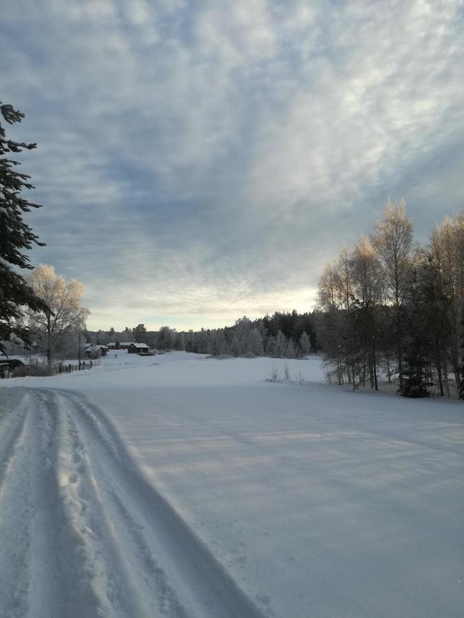 Presterudveien 125 Vikersund Екстериор снимка