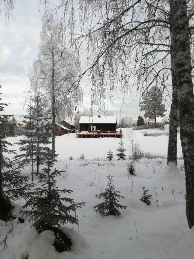 Presterudveien 125 Vikersund Екстериор снимка