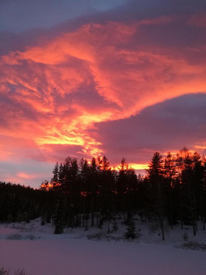 Presterudveien 125 Vikersund Екстериор снимка