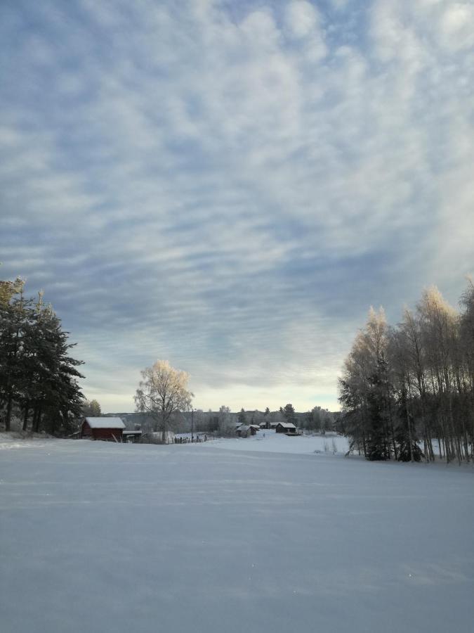 Presterudveien 125 Vikersund Екстериор снимка